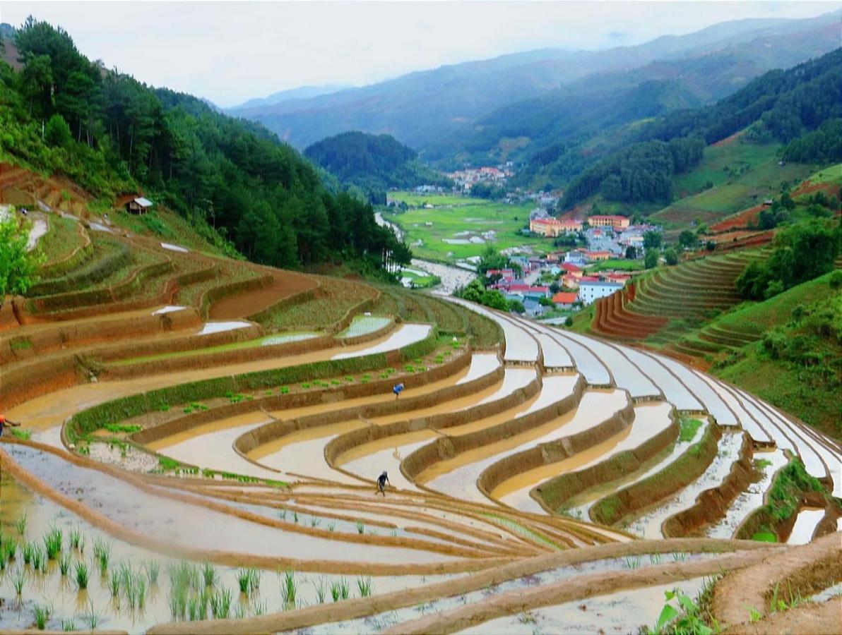 Dong Suoi H'mong Homestay Mu Cang Chai Bagian luar foto