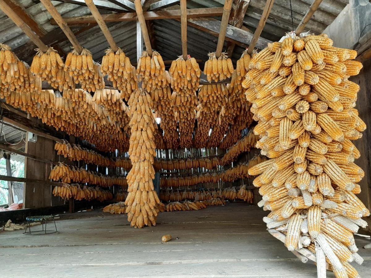 Dong Suoi H'mong Homestay Mu Cang Chai Bagian luar foto
