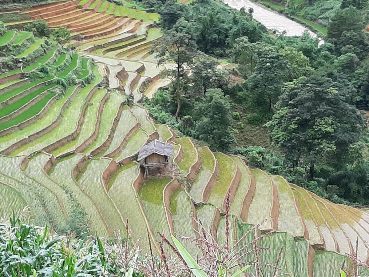 Dong Suoi H'mong Homestay Mu Cang Chai Bagian luar foto