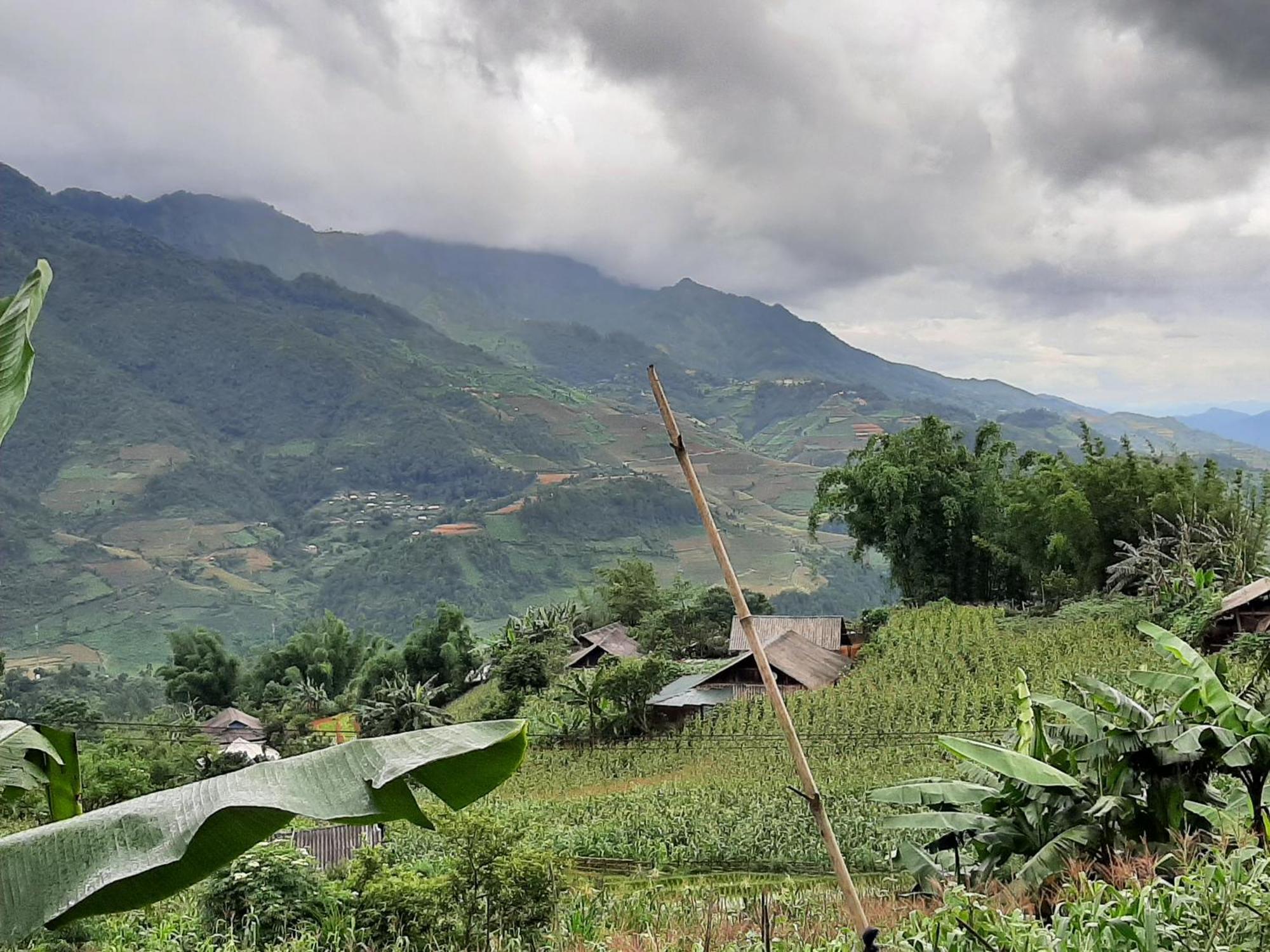 Dong Suoi H'mong Homestay Mu Cang Chai Bagian luar foto
