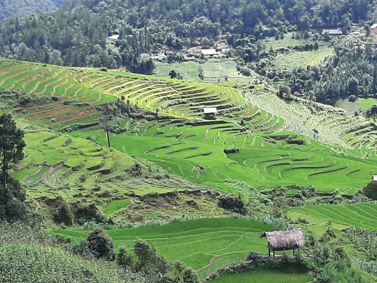 Dong Suoi H'mong Homestay Mu Cang Chai Bagian luar foto