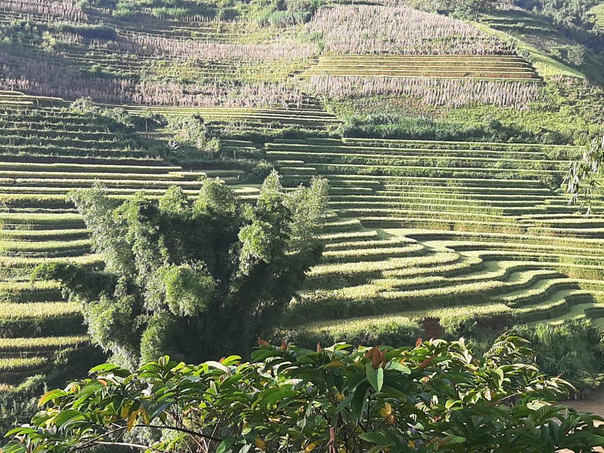 Dong Suoi H'mong Homestay Mu Cang Chai Bagian luar foto