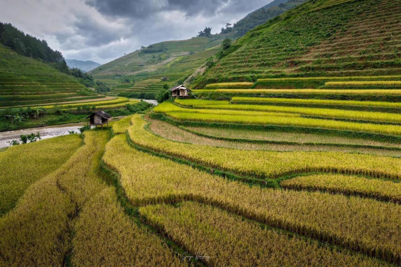 Dong Suoi H'mong Homestay Mu Cang Chai Bagian luar foto