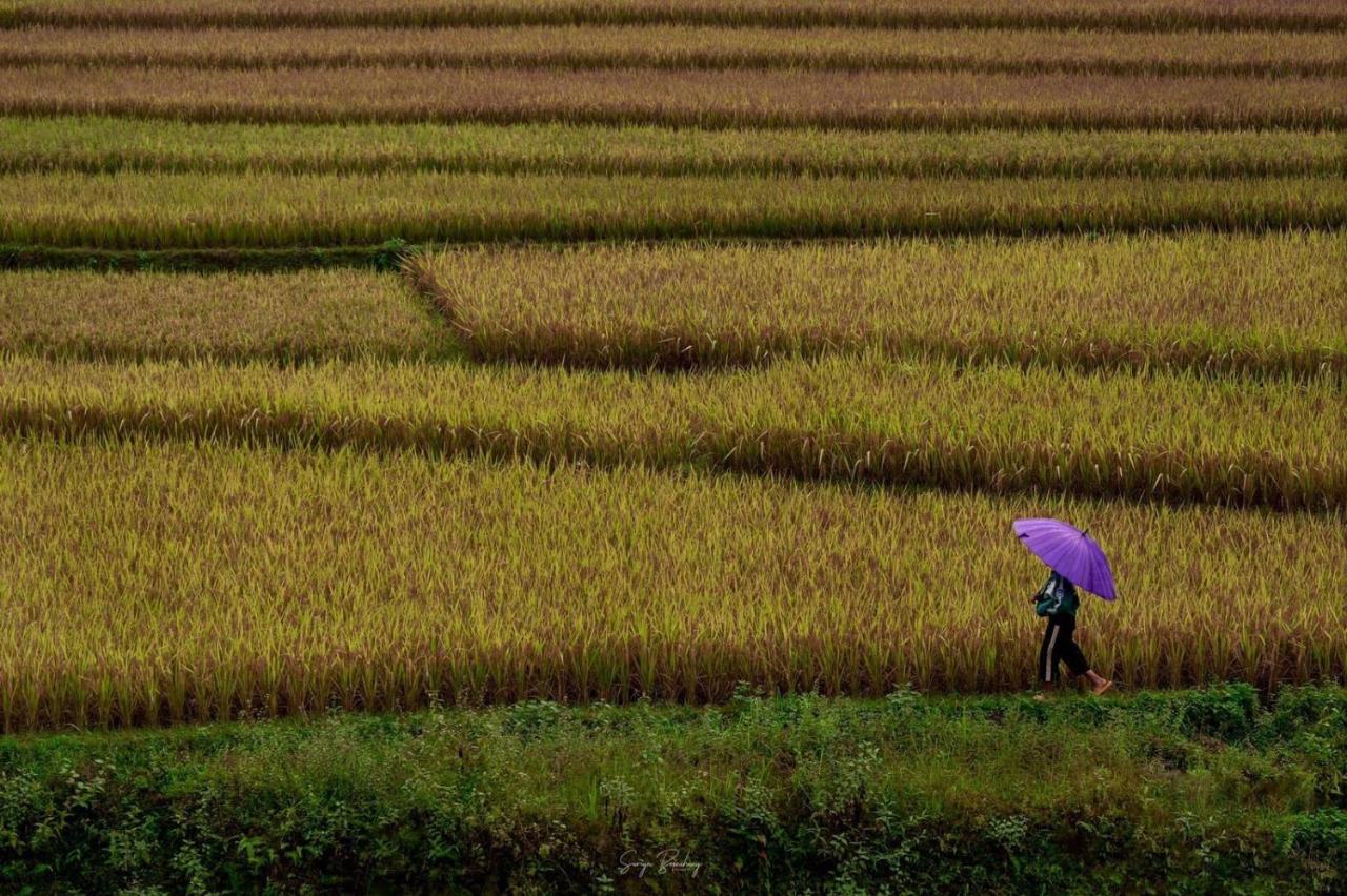 Dong Suoi H'mong Homestay Mu Cang Chai Bagian luar foto