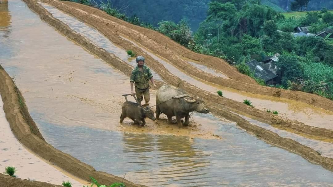 Dong Suoi H'mong Homestay Mu Cang Chai Bagian luar foto