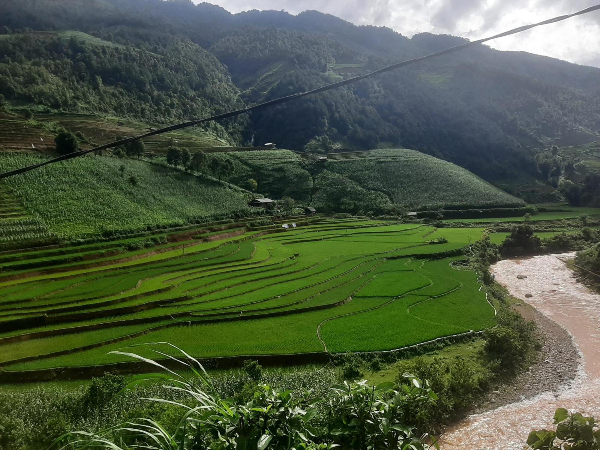 Dong Suoi H'mong Homestay Mu Cang Chai Bagian luar foto