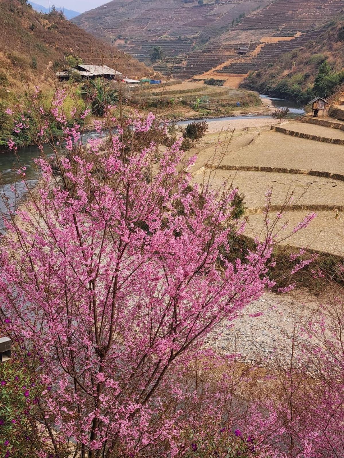 Dong Suoi H'mong Homestay Mu Cang Chai Bagian luar foto